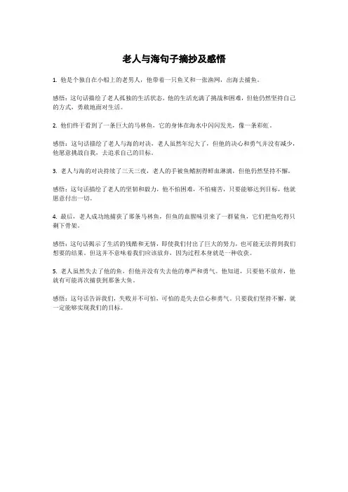 老人与海句子摘抄及感悟
