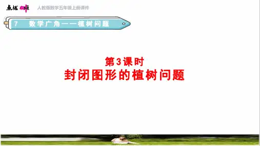 人教版五年级数学上册第七单元《封闭曲线上植树的问题》教学课件