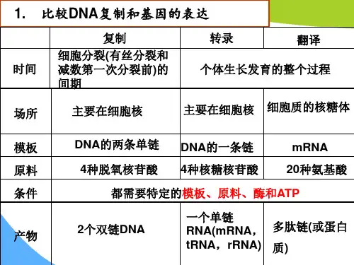 转录翻译复制