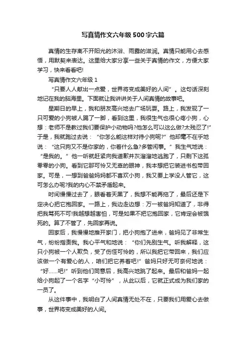 写真情作文六年级500字六篇