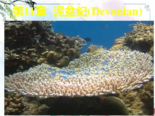 【地史学】  第11章_泥盆纪