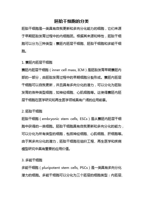胚胎干细胞的分类