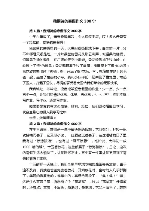 我期待的寒假作文300字