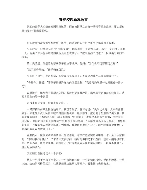 青春校园励志故事