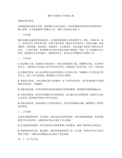 粮库专项整治工作情况汇报