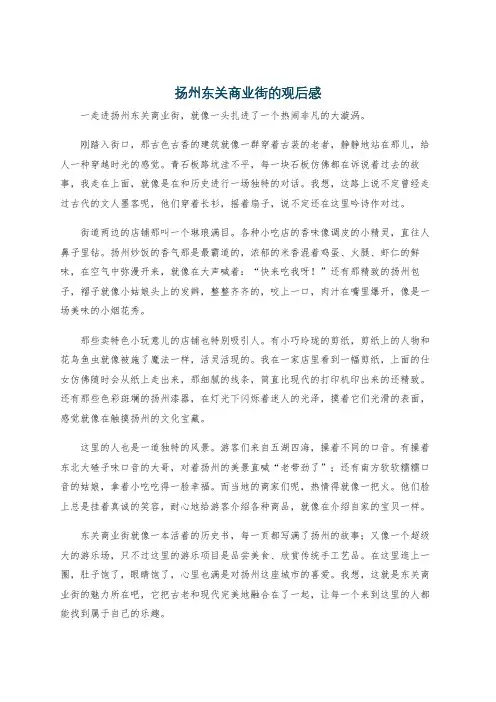 扬州东关商业街的观后感