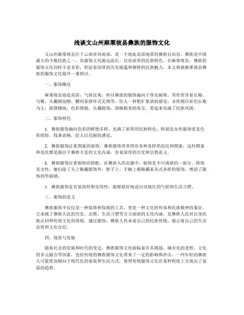 浅谈文山州麻栗坡县彝族的服饰文化