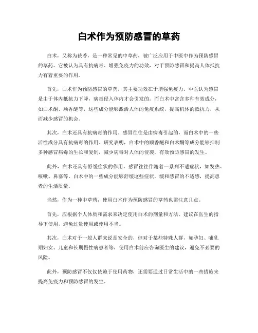 白术作为预防感冒的草药
