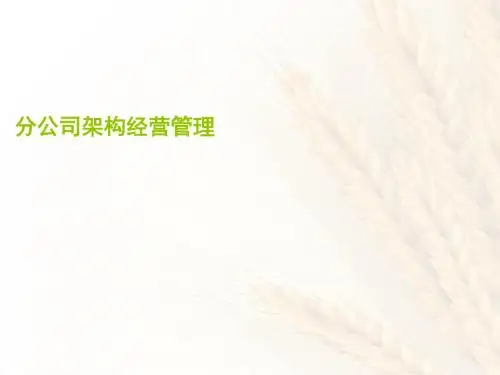 某公司架构经营管理教材(PPT 48张)