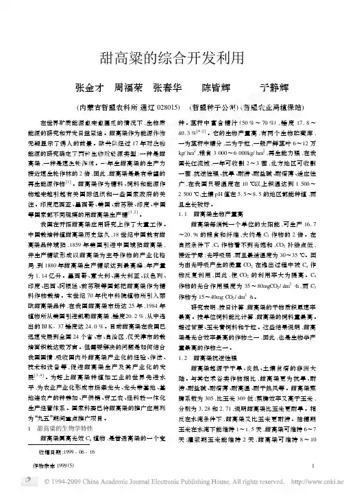 甜高粱的综合开发利用
