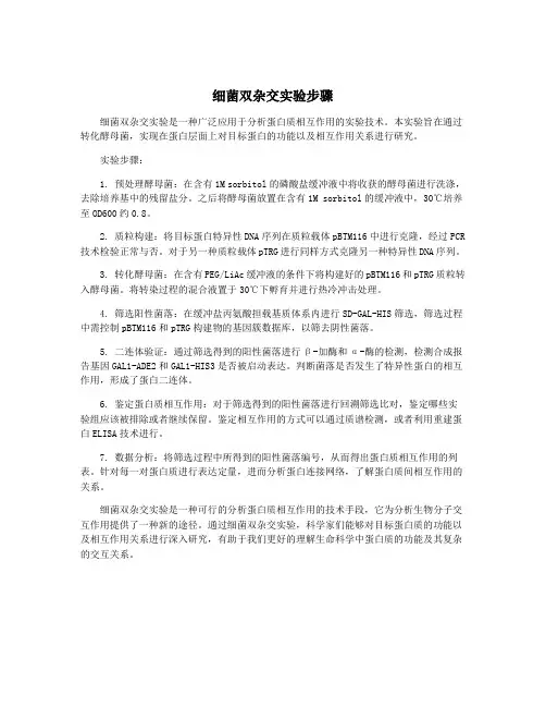 细菌双杂交实验步骤