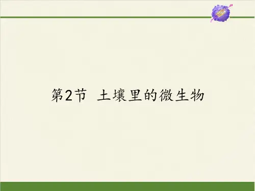 苏科版初中生物七年级下册课件-5.13.2 土壤里的微生物4