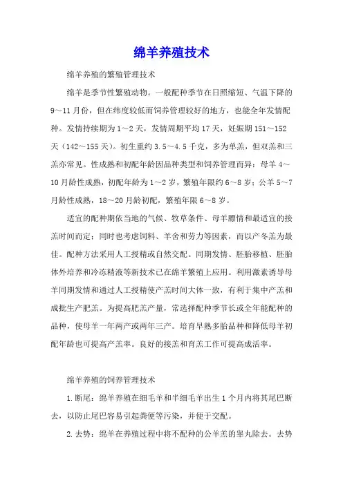 绵羊养殖技术
