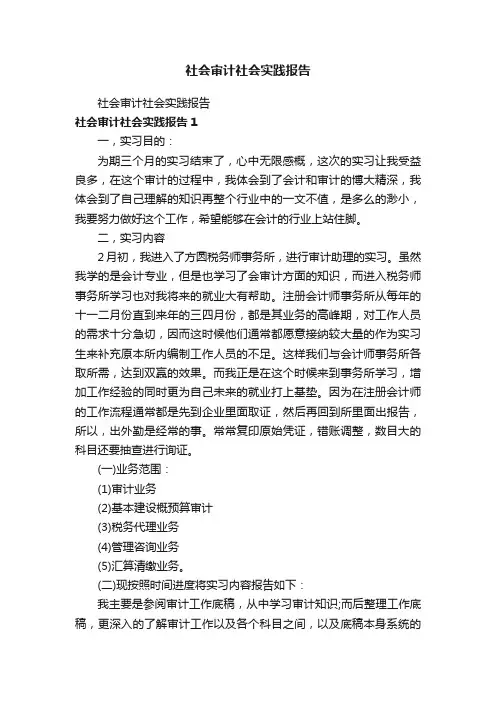 社会审计社会实践报告