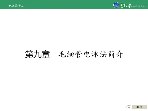 色谱分析法第九章 毛细管电泳法简介