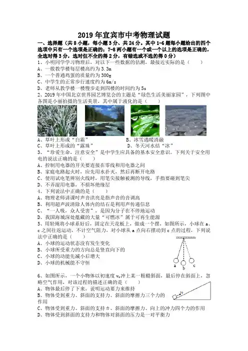 2019年宜宾市中考物理试题