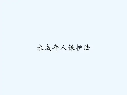 未成年人保护法ppt