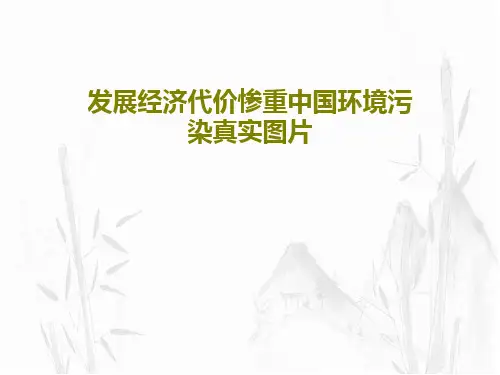 发展经济代价惨重中国环境污染真实图片共33页文档