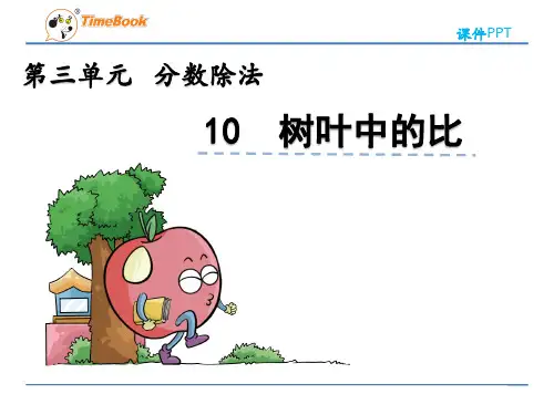 (新)苏教版六上《3.10 树叶中的比》课件PPT(精美)