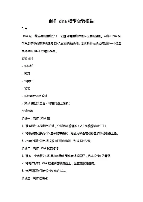 制作dna模型实验报告