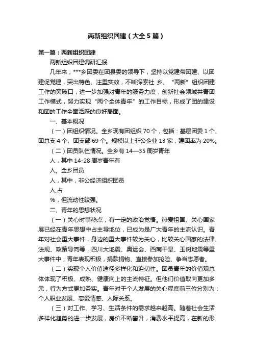 两新组织团建（大全5篇）