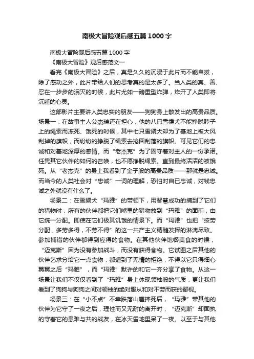 南极大冒险观后感五篇1000字
