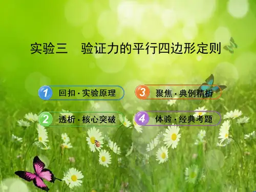 高三物理一轮复习课件 实验三 验证力的平行四边形定则