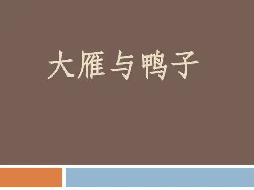 《大雁与鸭子》语文教学PPT课件(3篇)