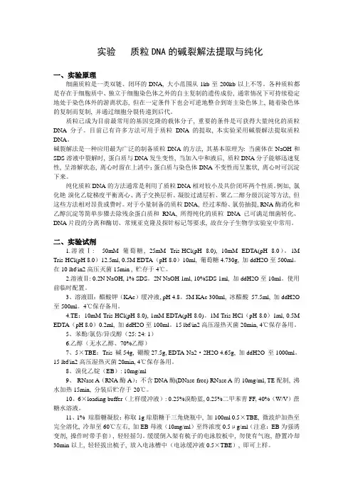 分子生物学实验讲义