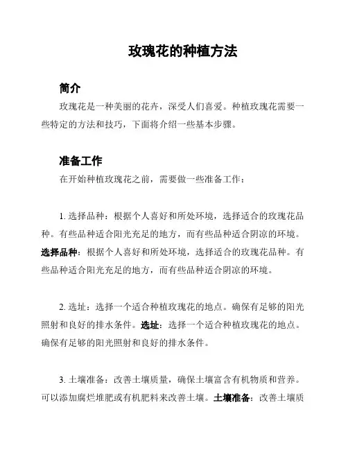 玫瑰花的种植方法