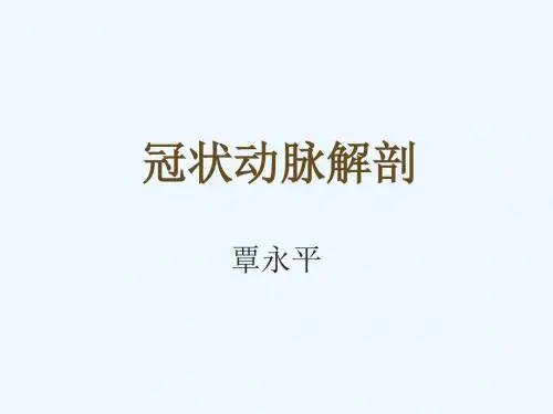 冠状动脉解剖