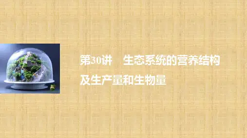 新高考生物一轮复习 第八单元 生物与环境 第30讲 生态系统的营养结构及生产量和生物量名师精编课件 浙科版