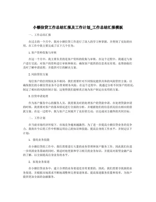小额信贷工作总结汇报及工作计划_工作总结汇报模板