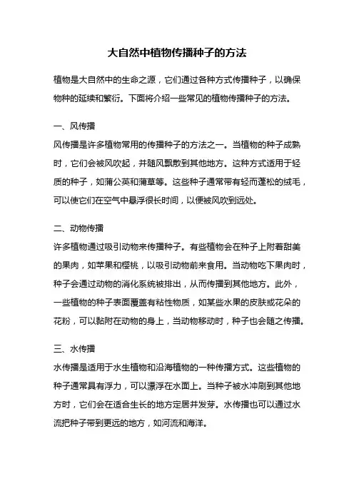 大自然中植物传播种子的方法