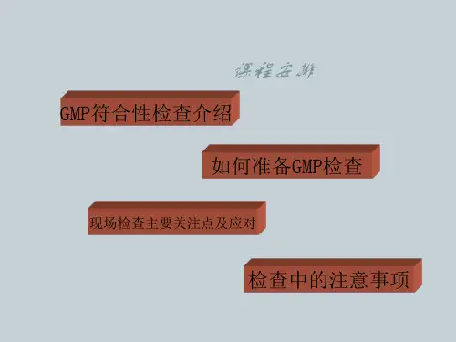 GMP检查及应对