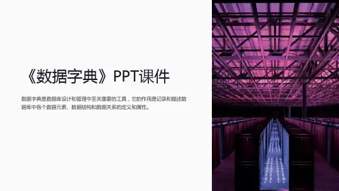 《数据字典》课件