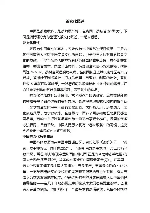 茶文化概述