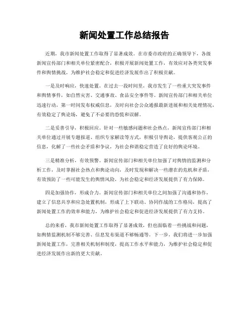 新闻处置工作总结报告