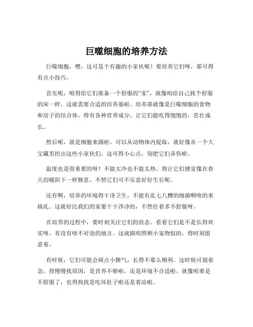 巨噬细胞的培养方法