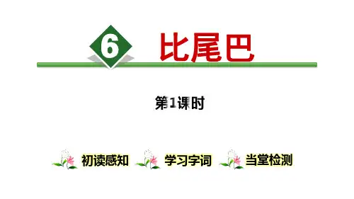 《比尾巴》PPT课件(第1课时)
