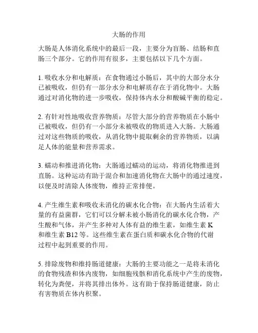 大肠的作用