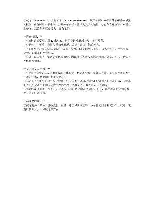桂花树简介