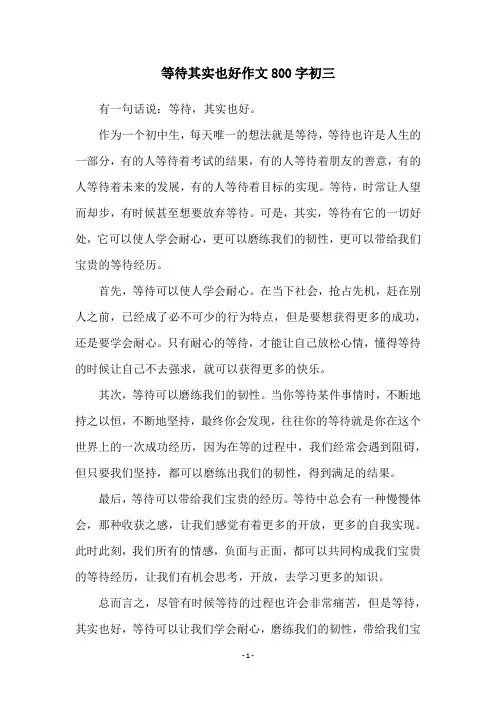 等待其实也好作文800字初三