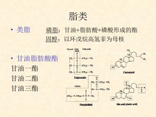 2脂肪模式RNI