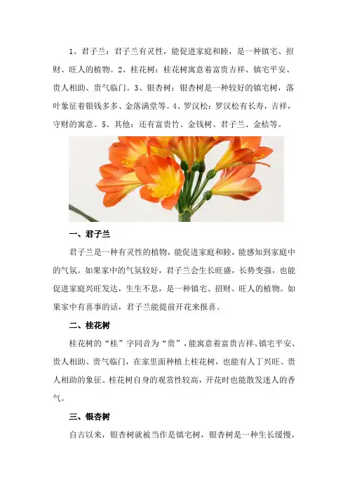 镇宅招财旺人的植物家里种植什么植物好