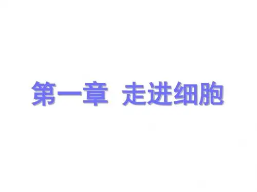 高一生物第一章走进细胞课件新人教版必修1