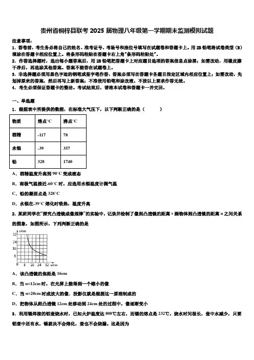 贵州省桐梓县联考2025届物理八年级第一学期期末监测模拟试题含解析