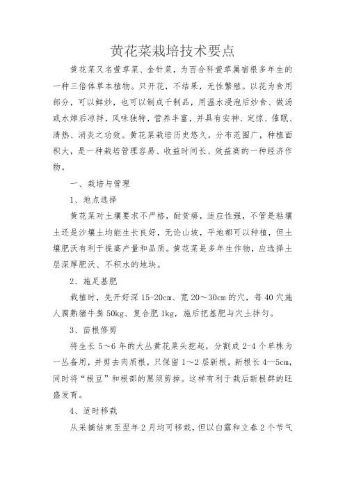 黄花菜栽培技术要点