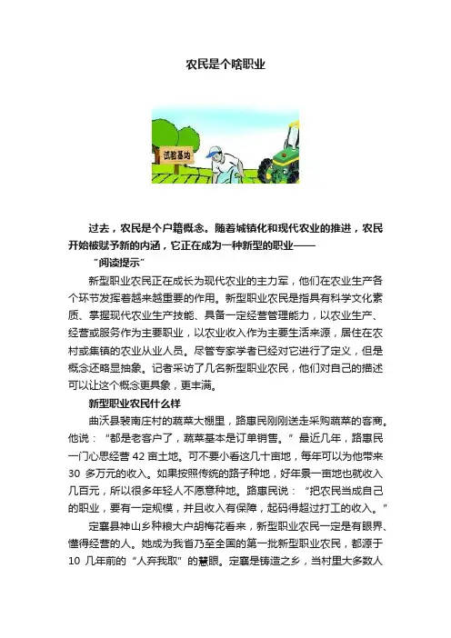农民是个啥职业