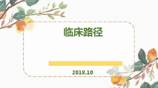 临床路径培训PPT